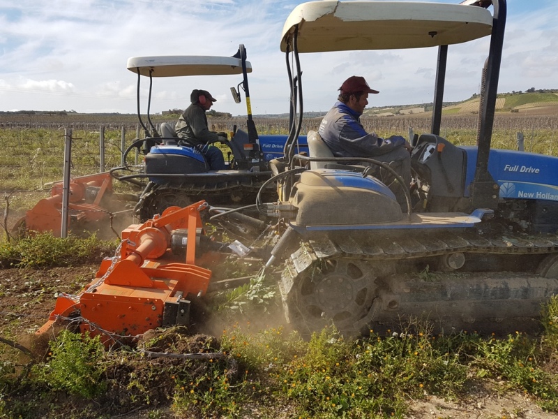 Fresatrice agricolmeccanica di Milazzo Matteo MUM167 IN CAMPO